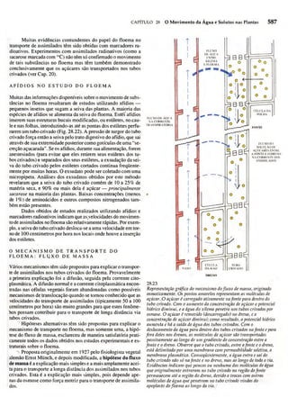 Biologia vegetal raven_5ªed