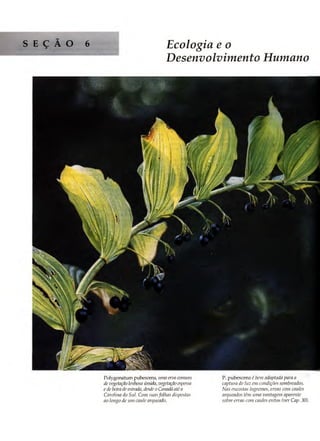 Biologia vegetal raven_5ªed