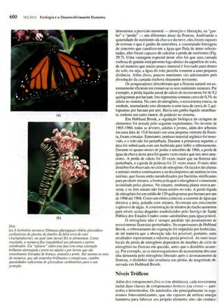 Biologia vegetal raven_5ªed