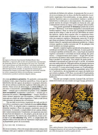 Biologia vegetal raven_5ªed