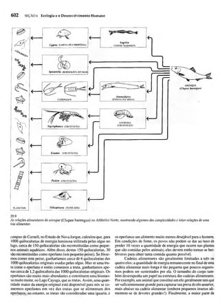 Biologia vegetal raven_5ªed