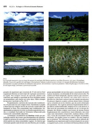 Biologia vegetal raven_5ªed