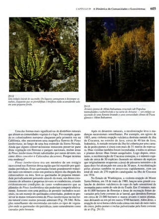 Biologia vegetal raven_5ªed