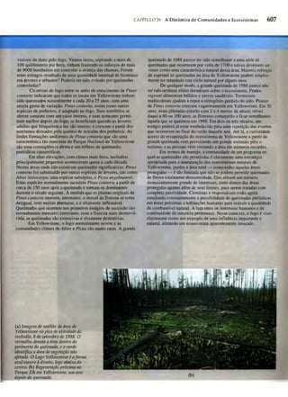 Biologia vegetal raven_5ªed