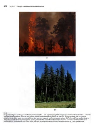 Biologia vegetal raven_5ªed