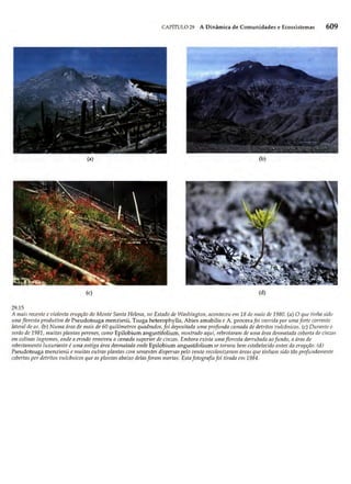 Biologia vegetal raven_5ªed