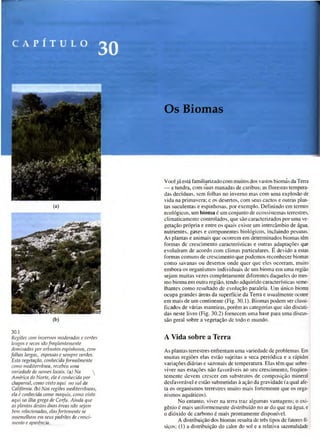 Biologia vegetal raven_5ªed