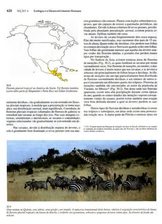 Biologia vegetal raven_5ªed