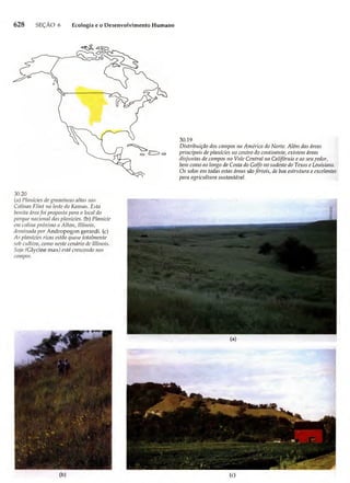 Biologia vegetal raven_5ªed