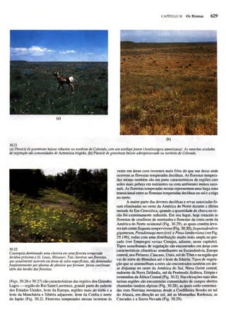 Biologia vegetal raven_5ªed