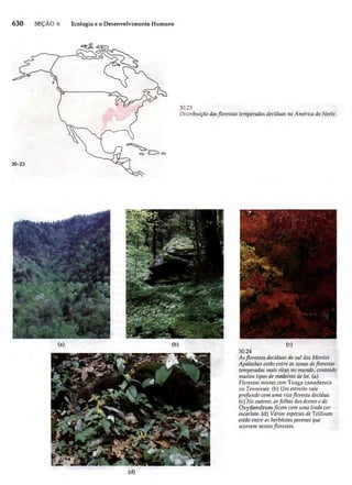 Biologia vegetal raven_5ªed