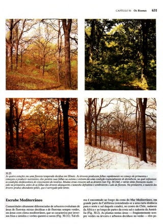 Biologia vegetal raven_5ªed