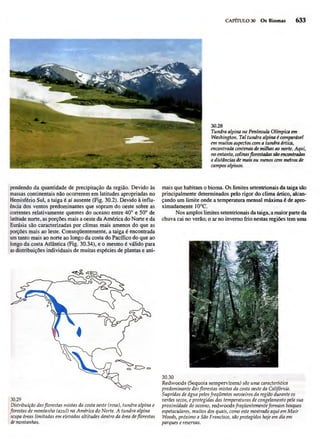 Biologia vegetal raven_5ªed