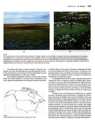 Biologia vegetal raven_5ªed