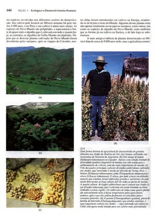 Biologia vegetal raven_5ªed