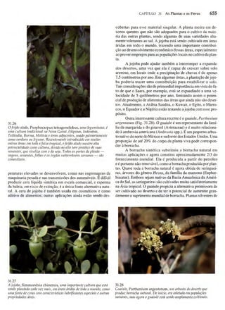 Biologia vegetal raven_5ªed