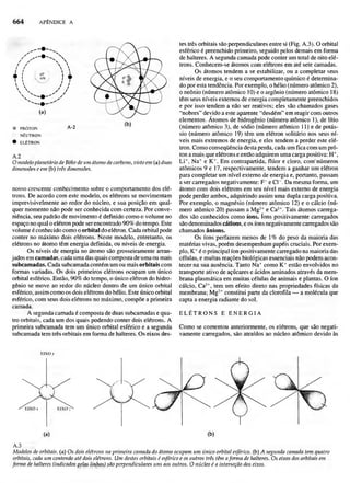 Biologia vegetal raven_5ªed
