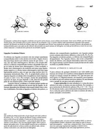 Biologia vegetal raven_5ªed