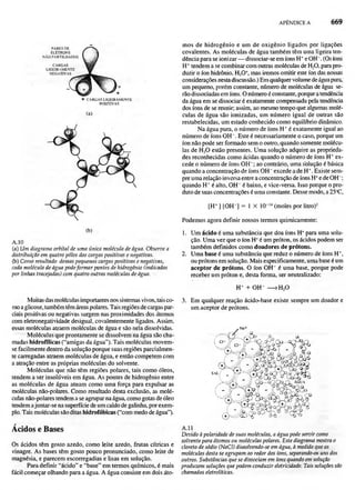 Biologia vegetal raven_5ªed