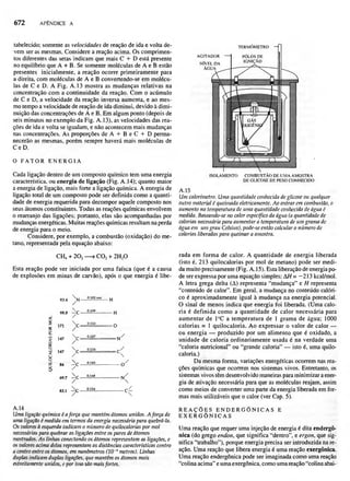 Biologia vegetal raven_5ªed