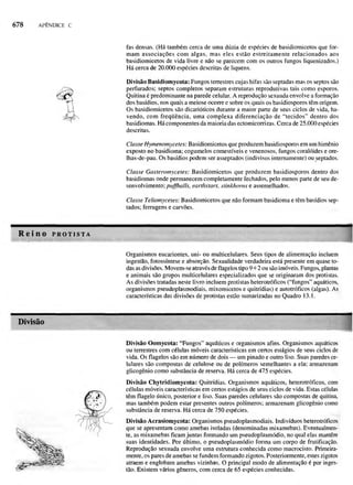 Biologia vegetal raven_5ªed