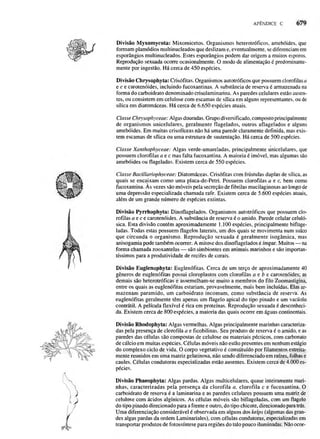 Biologia vegetal raven_5ªed