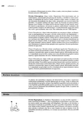 Biologia vegetal raven_5ªed