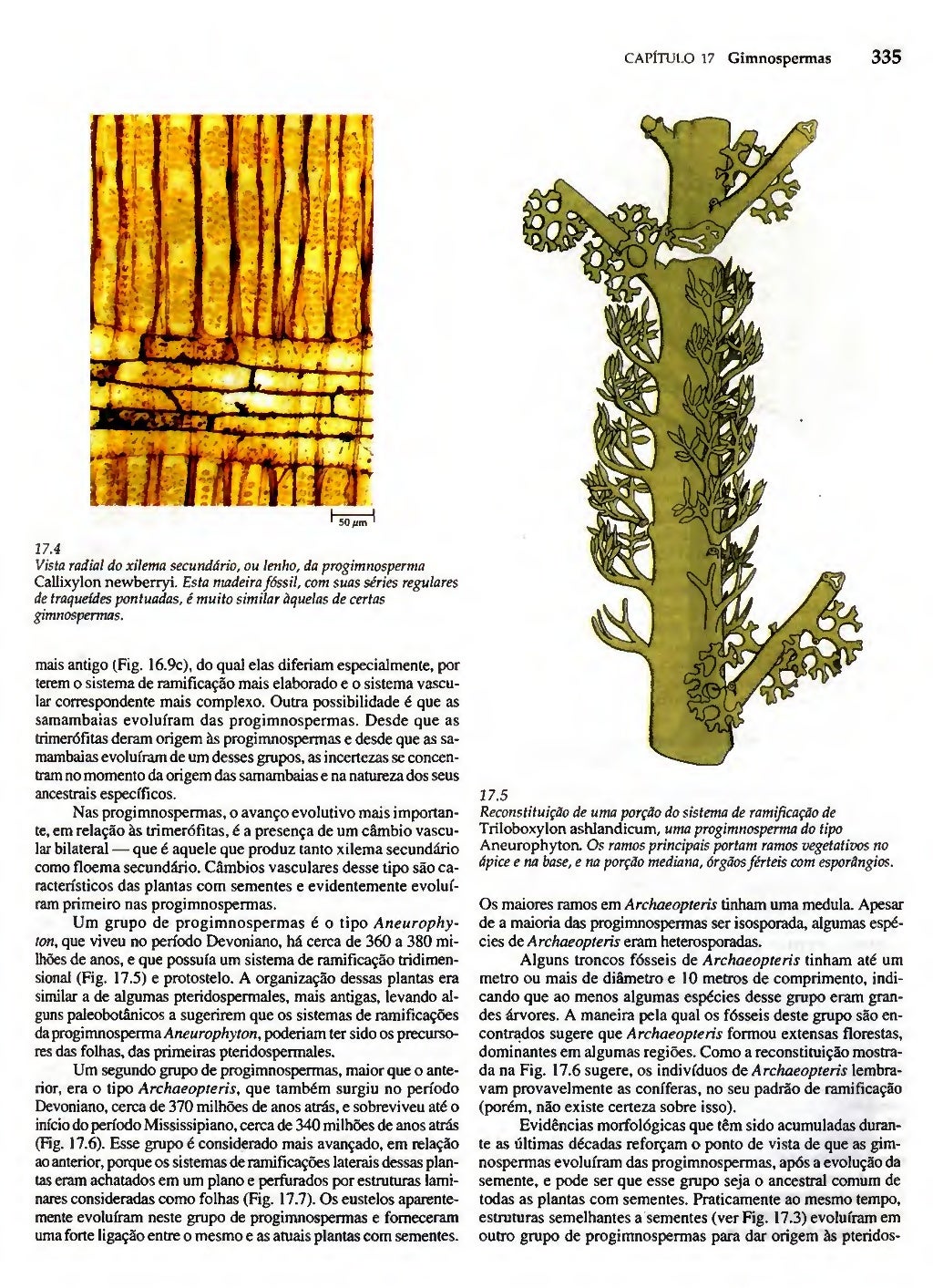 Biologia vegetal raven_5ªed