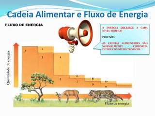 FLUXO DE ENERGIA
Fluxo de energia
1 2
8
9
10
11
43
5
6
7
A ENERGIA DECRESCE A CADA
NÍVEL TRÓFICO
POR ISSO:
AS CADEIAS ALIMENTARES SÃO
NORMALMENTE COMPOSTA
DE POUCOS NÍVEIS TRÓFICOS
Cadeia Alimentar e Fluxo de Energia
 