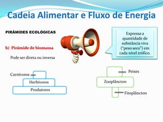 PIRÂMIDES ECOLÓGICAS
b) Pirâmide de biomassa
Pode ser direta ou inversa
Produtores
Herbívoros
Carnívoros
Expressa a
quantidade de
substância viva
(“peso seco”) em
cada nível trófico.
Fitoplâncton
Zooplâncton
Peixes
Cadeia Alimentar e Fluxo de Energia
 