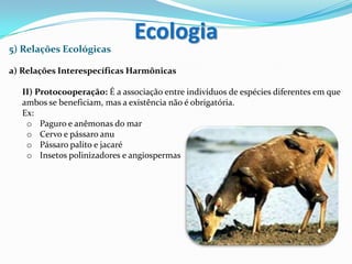 5) Relações Ecológicas
a) Relações Interespecíficas Harmônicas
II) Protocooperação: É a associação entre indivíduos de espécies diferentes em que
ambos se beneficiam, mas a existência não é obrigatória.
Ex:
o Paguro e anêmonas do mar
o Cervo e pássaro anu
o Pássaro palito e jacaré
o Insetos polinizadores e angiospermas
Ecologia
 