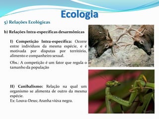 5) Relações Ecológicas
b) Relações Intra-específicas desarmônicas
I) Competição Intra-específica: Ocorre
entre indivíduos da mesma espécie, e é
motivada por disputas por território,
alimento e companheiro sexual.
Obs.: A competição é um fator que regula o
tamanho da população
II) Canibalismo: Relação na qual um
organismo se alimenta de outro da mesma
espécie.
Ex: Louva-Deus; Aranha viúva negra.
Ecologia
 