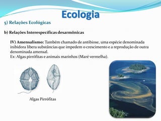 5) Relações Ecológicas
b) Relações Interespecíficas desarmônicas
IV) Amensalismo: Também chamado de antibiose, uma espécie denominada
inibidora libera substâncias que impedem o crescimento e a reprodução de outra
denominada amensal.
Ex: Algas pirrófitas e animais marinhos (Maré vermelha).
Algas Pirrófitas
Ecologia
 