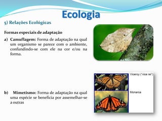 5) Relações Ecológicas
Formas especiais de adaptação
a) Camuflagem: Forma de adaptação na qual
um organismo se parece com o ambiente,
confundindo-se com ele na cor e/ou na
forma.
b) Mimetismo: Forma de adaptação na qual
uma espécie se beneficia por assemelhar-se
a outras
Ecologia
 