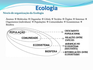 Níveis de organização da Ecologia
Átomos  Moléculas  Organelas  Célula  Tecidos  Órgãos  Sistemas 
Organismos (indivíduos)  Populações  Comunidades  Ecossistemas 
Biosfera
Ecologia
 
