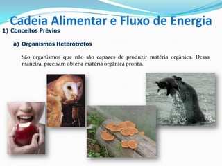 1) Conceitos Prévios
a) Organismos Heterótrofos
São organismos que não são capazes de produzir matéria orgânica. Dessa
maneira, precisam obter a matéria orgânica pronta.
Cadeia Alimentar e Fluxo de Energia
 
