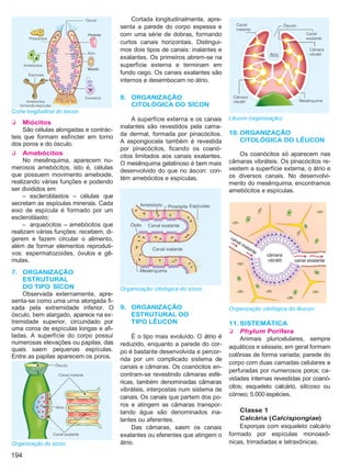 Biologia vol3