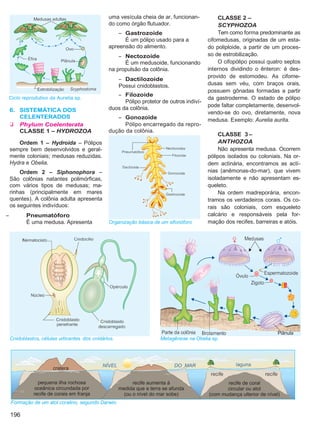 Biologia vol3