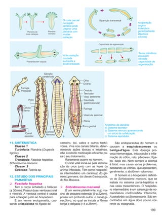 Biologia vol3