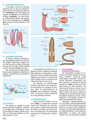 Biologia vol3
