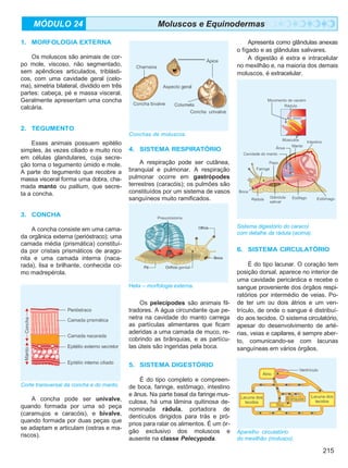 Biologia vol3