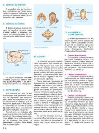 Biologia vol3