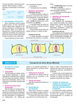 Biologia vol3