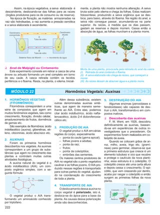 Biologia vol3