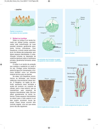 Biologia vol4