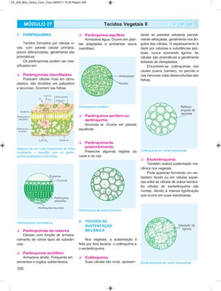 Biologia vol4