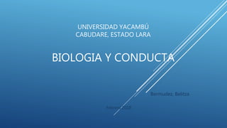 UNIVERSIDAD YACAMBÚ
CABUDARE, ESTADO LARA
BIOLOGIA Y CONDUCTA
Bermudez, Belitza
Febrero 2018
 