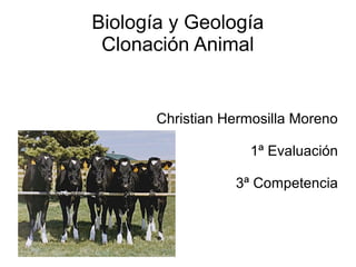 Biología y Geología
 Clonación Animal


       Christian Hermosilla Moreno

                    1ª Evaluación

                  3ª Competencia
 