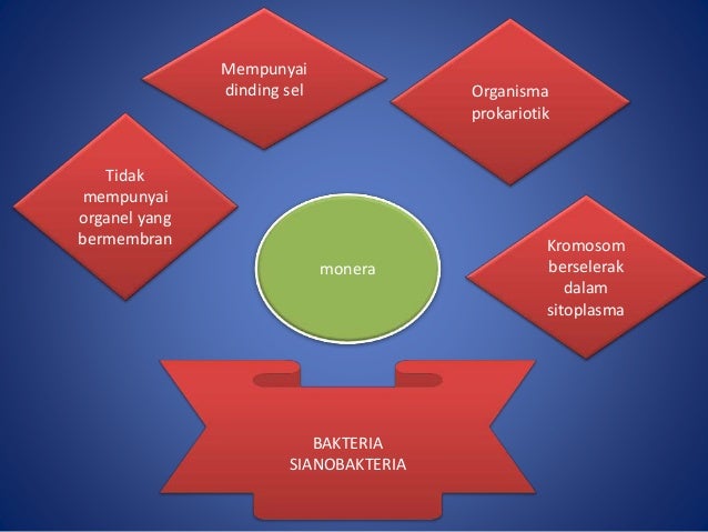 Nota Biologi Tingkatan 4 Bab 5  slainty