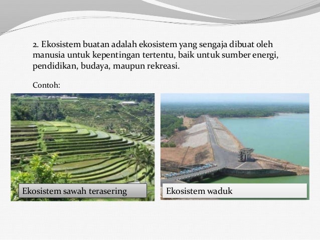 Biologibab9new 120413034626-phpapp02